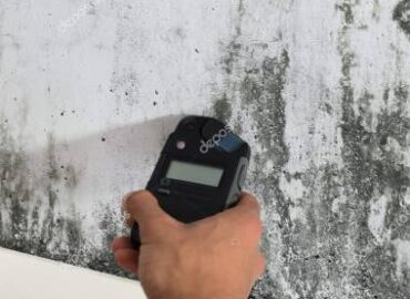 Mold Remediation Tampa, St. Petersburg, and Westchase, FL